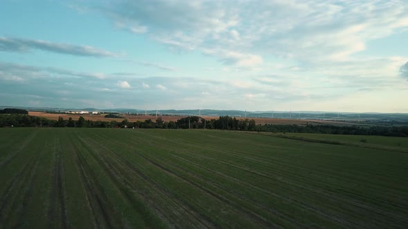 View of farm