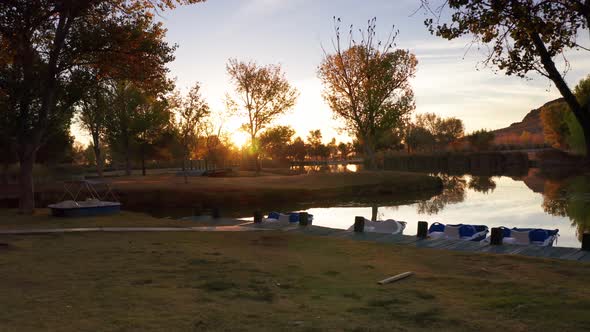 Forrest lake sunrise aerial landscape