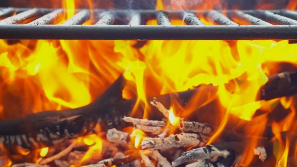 Barbecue Fire, Bonfire, Wood Burning.