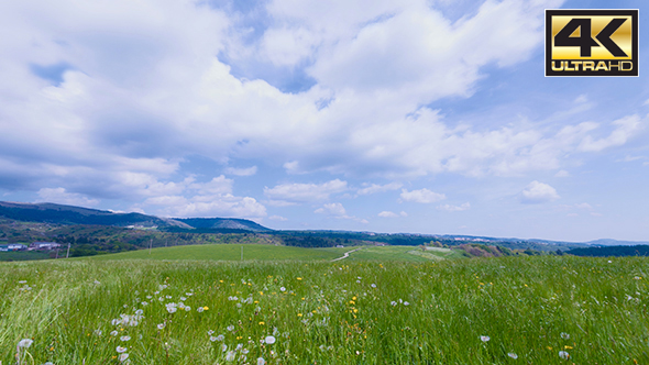 Clouds and Flowers  alt