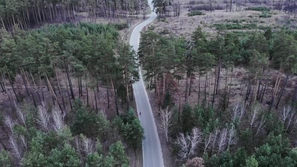 Cyclist in helmet on road bike is fast riding on empty road in pine tree forest. Triathlon concept