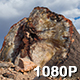Beautiful Petrified Wood in Arizona Desert - VideoHive Item for Sale