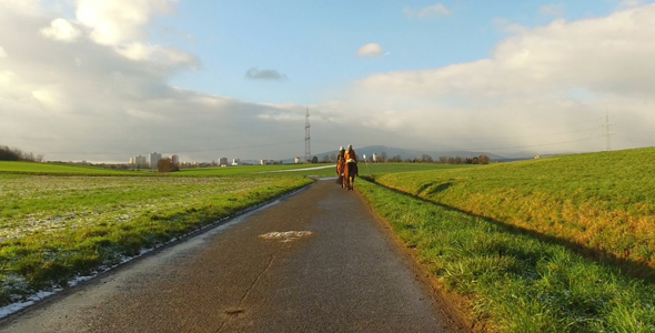 Riding Horse in Green Field and Sunny Dreamy Cloudy Day