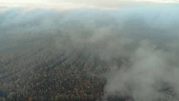 Aerial View From a Bird's-eye View of the Treetops Through Moving White Clouds, Top-down View