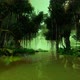 Journey through the tropical mangrove jungle - VideoHive Item for Sale