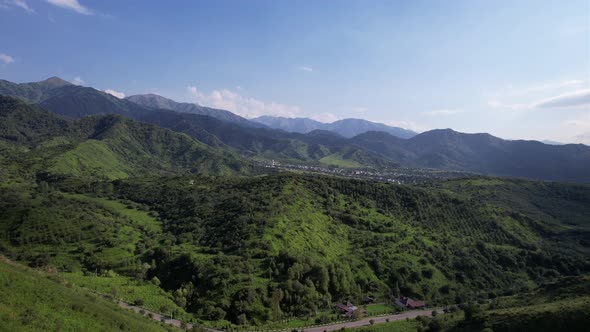 Mountains are Covered with Green Trees and Grasses