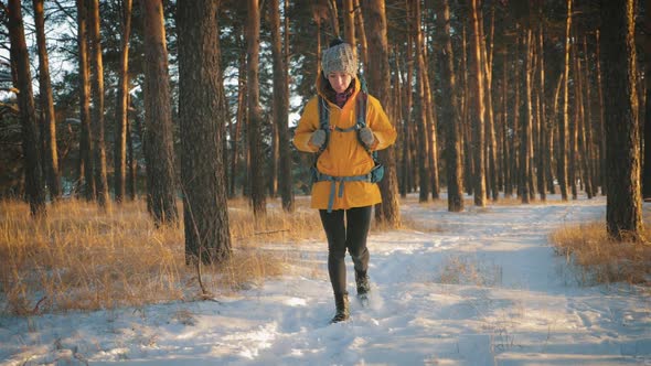 Young Travel Backpacker Woman with Backpack Walking in Snowy Winter Pine Forest