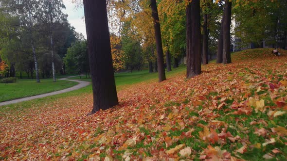 The Beauty of an Autumn Park in St