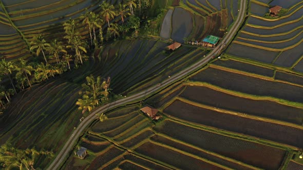 Jatiluwih Rice Terraces Ubud Bali Aerial view from drone.