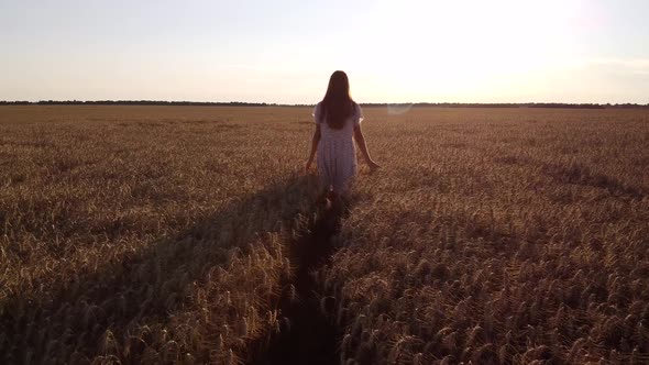 Slow-mo video of a young girl walking in field of wheat