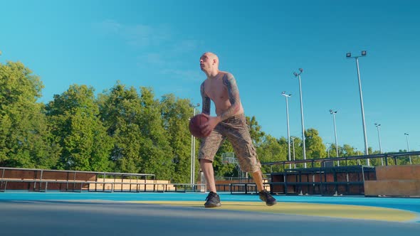 Green Forest And Basketball