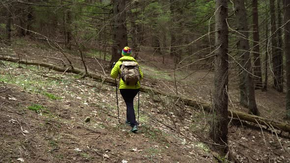 A Woman with a Backpack Travels in the Forest