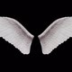 Angel Wings - VideoHive Item for Sale