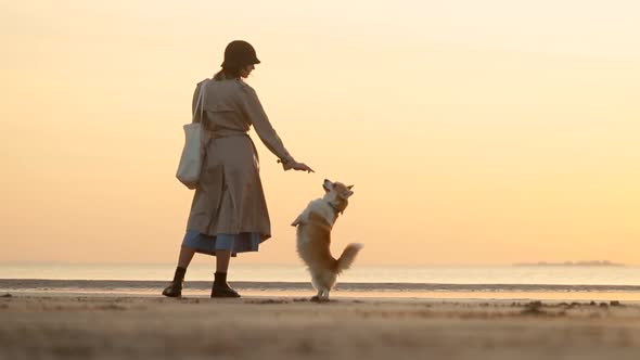 Beautiful Landscape and Woman Training Dog While Standing on Seashore During Sunset Spbi