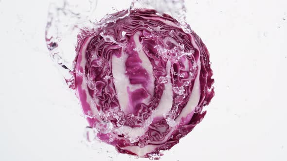 Water splash on halved red cabbage. Slow Motion.