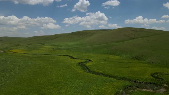 Alpine Meadows And Meanders