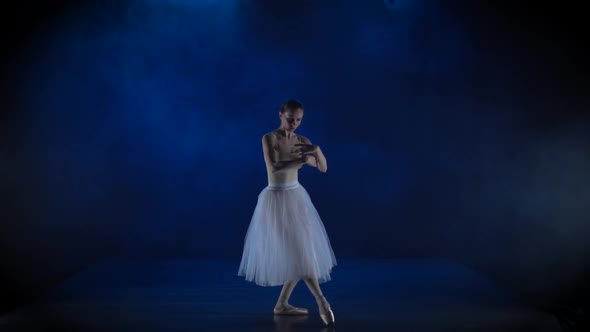 Pretty Ballerina in White Tutu Performing Classical Ballet, Slow Motion