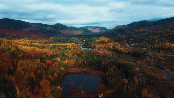 Aerial drone shot of forest and mountains landscape, fall season colours