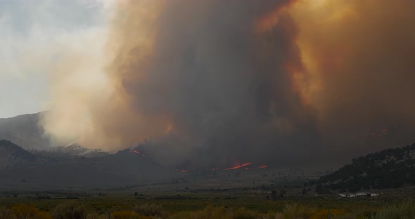 Forest Fire Burning Mountainside