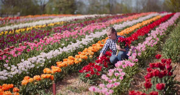 Woman Holding Tulips Bouquet in Hands While Walking on Tulips Field