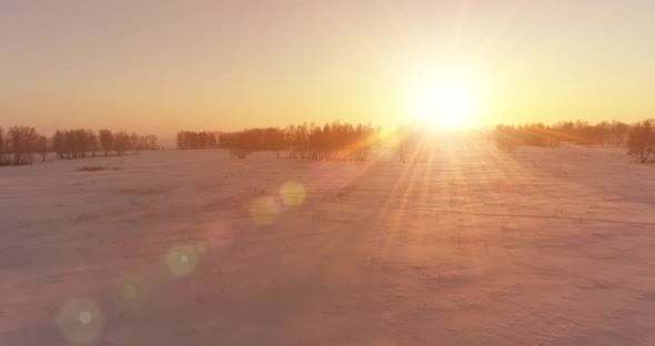 Aerial Drone View of Cold Winter Landscape with Arctic Field Trees Covered with Frost Snow and