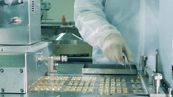 Pharmacologist Using Tweezers To Sort Pills of Fish Oil. Pharmaceutical Industry Concept.