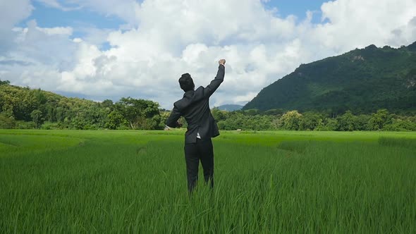 Businessman Celebrating On Rice Fields