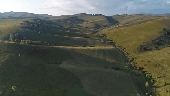 Green meadow hiils and forest. Aerial nature shot.