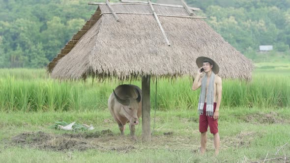 Asian Farmer Talking On Mobile Phone