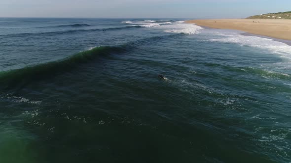 Surf in Nazaré, Portugal