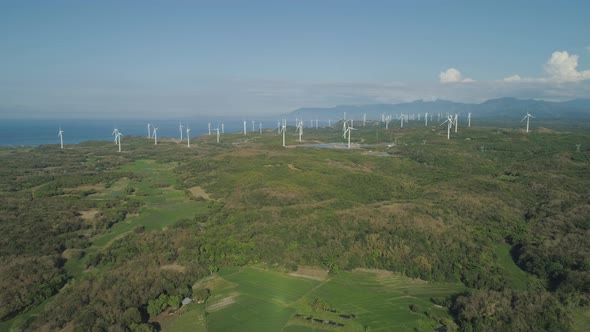 Solar Farm with Windmills