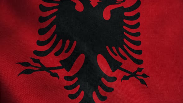 Flag of Albania Waving in Slow Motion with Cloth Texture  Footage