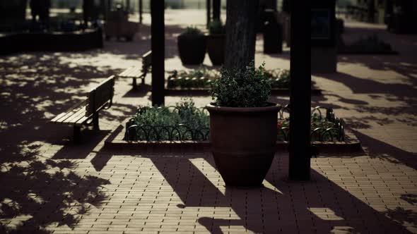 Empty Public Park During Curfew Cause of Corona Virus Quarantine