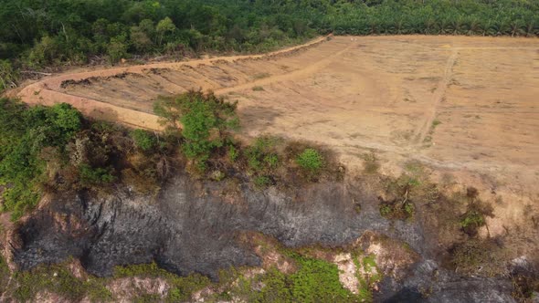 Land clearing and open burn of tree