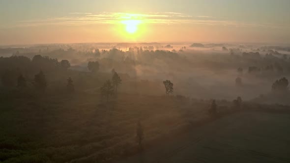 Summer Morning