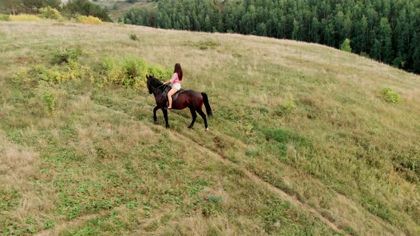 Girl Horse Rider on Horseback, Walking Along Country Track, Aerial Shot. Horseback Riding. Equestian