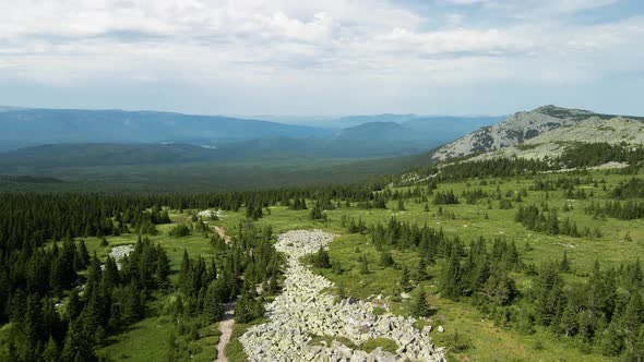 View from a height of beautiful coniferous trees and mountain stones