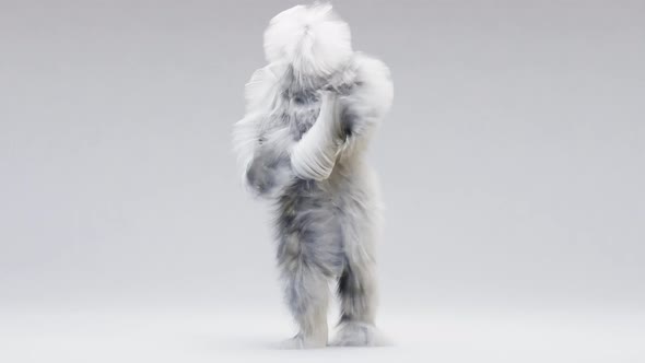 Hairy Monster Dancing clip isolated on the white background. fur bright funny fluffy character,