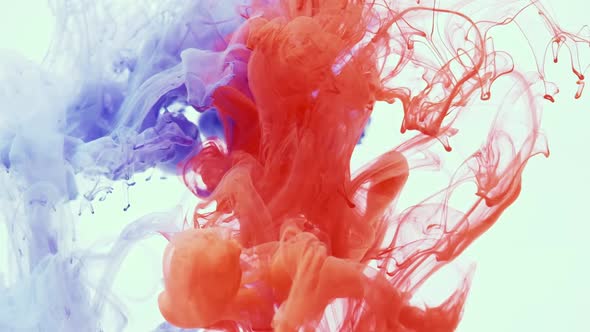 Abstract Ink Colours Flowing in Water. Red and Blue Ink Colours