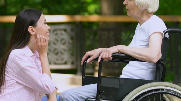 Smiling Female Volunteer Talking With Elderly Woman in Wheelchair, Support