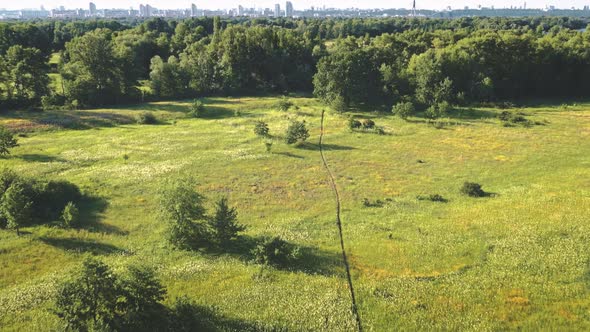 Aerial Green Grass Field