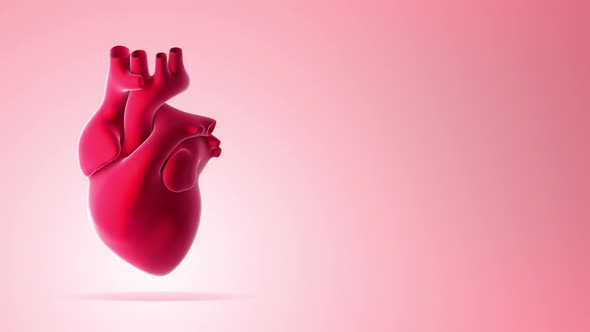 Looped Red Human Heart Beat on a Pink Background.