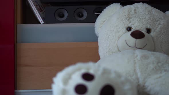 Sliding Horizontal Motion of a Big White Teddy Bear on the Floor in front of a TV Unit