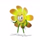 Flower Groovy Dance on White Background - VideoHive Item for Sale