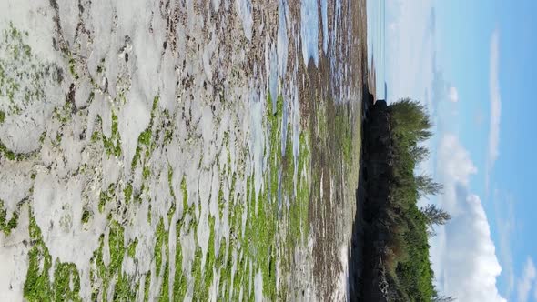 Vertical Video of Low Tide in the Ocean Near the Coast of Zanzibar Tanzania Aerial View