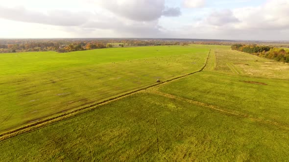 The tractor is stacking haystacks on an agricultural field in autumn, aerial view