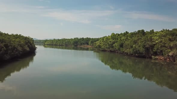 Flying Over Mangrove Forest in Thailand