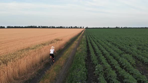 Aerial Drone View of Girl Riding Bicycle Between Wheat Fields alt