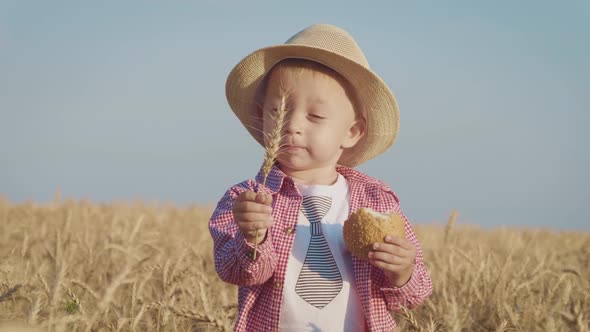 Happy Little Toddler in Hat Eats Bread While Standing in Wheat Field at Sunset. Summer Country Life