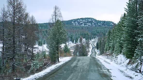 Scenic Early Spring View with Snowy Dirt Road Through the Pass Green Larch Trees Snow and Forest on